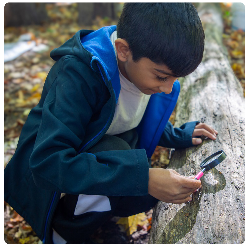 a student at the Nature School at Kortright Centre uses a magnifying glass to study tree bark