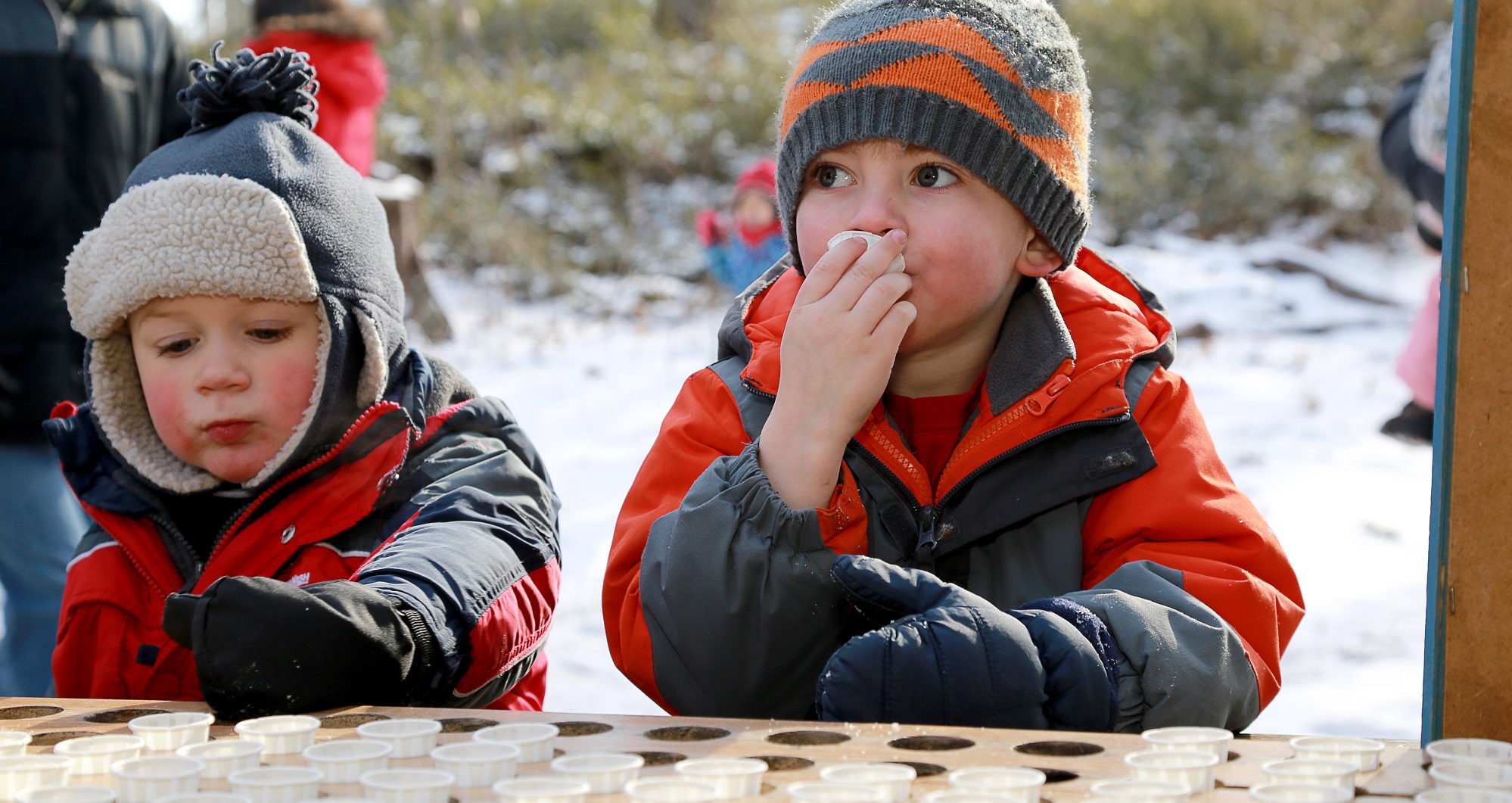 young visitors to Kortright Centre for Conservation sample maple syrup during the Sugarbush Maple Syrup Festival